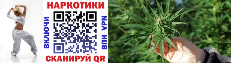 Магазины продажи наркотиков Черноголовка Экстази  Галлюциногенные грибы  Мефедрон  АМФ  КОКАИН  МАРИХУАНА  A PVP  Гашиш 