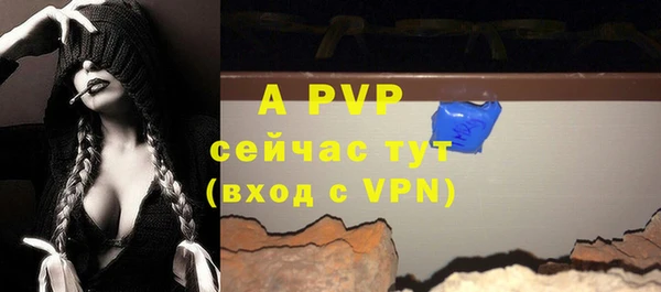 стафф Володарск