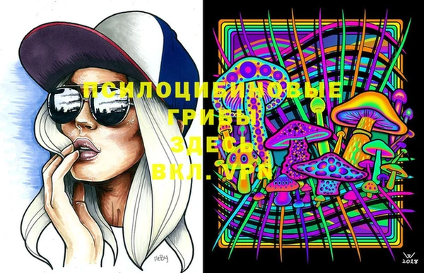 ПСИЛОЦИБИНОВЫЕ ГРИБЫ Волосово