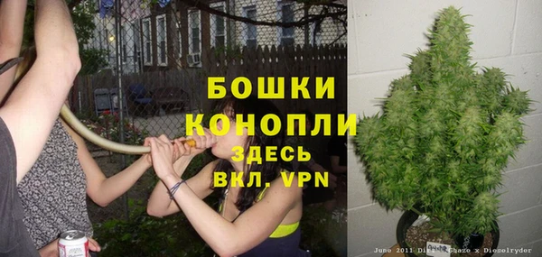 стафф Володарск