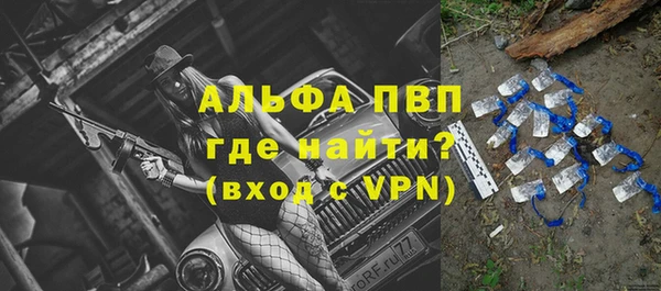 ПСИЛОЦИБИНОВЫЕ ГРИБЫ Волосово