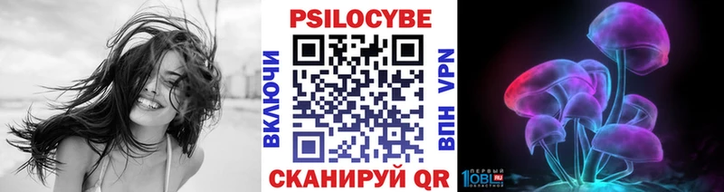 Псилоцибиновые грибы GOLDEN TEACHER где купить наркоту Черноголовка